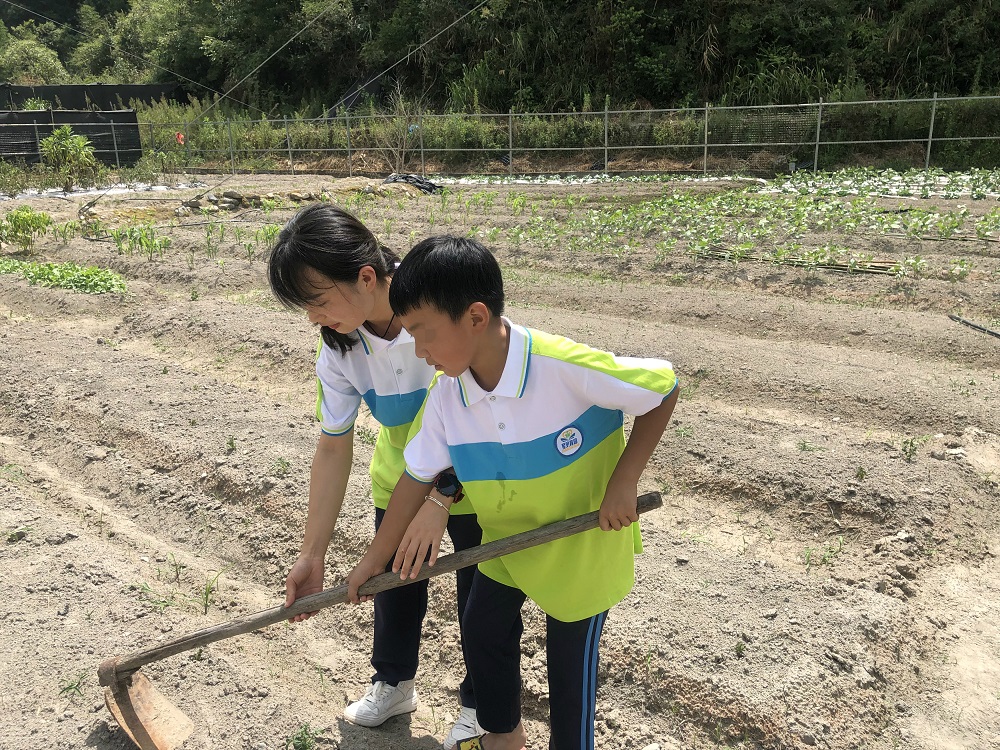 大自然教学